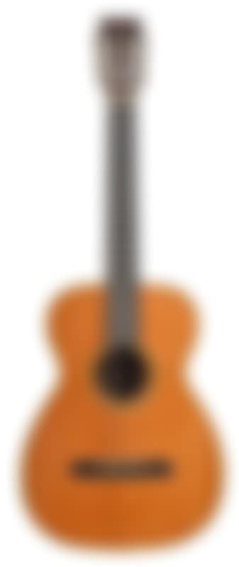 Martin guitar (preview)