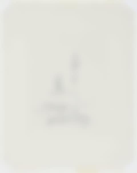 The Search (preview)