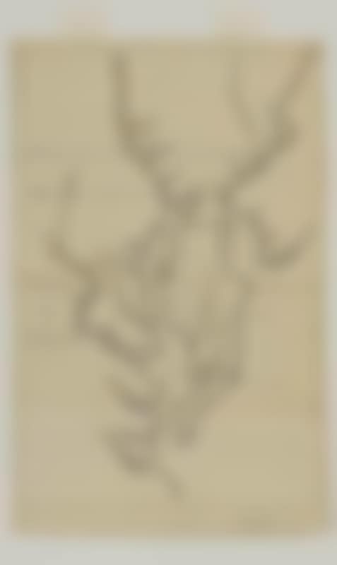 Untitled [Part of Virginia] (preview)