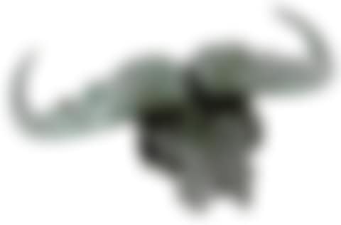 Bronze Water Buffalo Skull (preview)