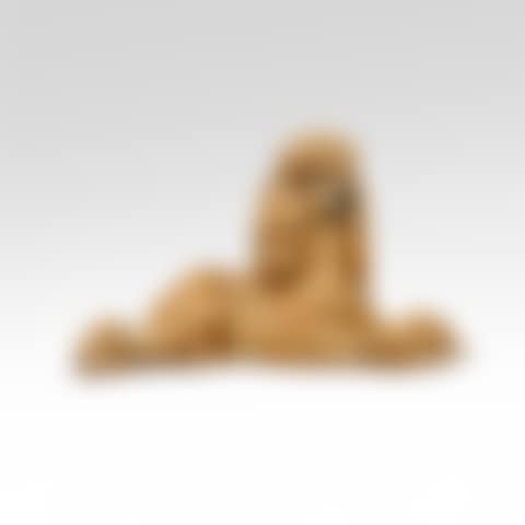 Poodle (preview)