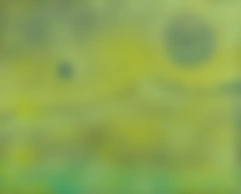 Paysage magique (preview)