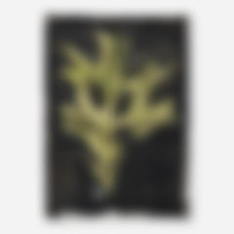 Untitled (preview)
