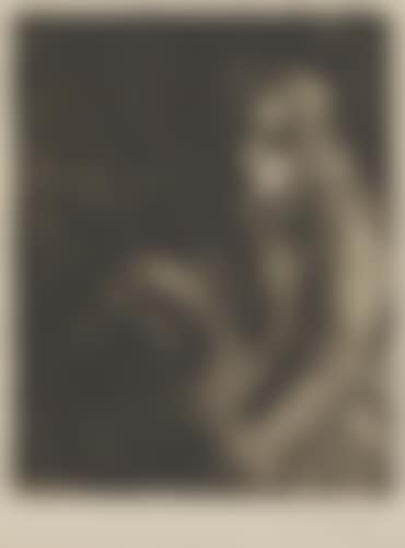 Madonna (preview)