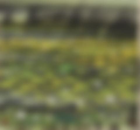 LOTUS POND (preview)