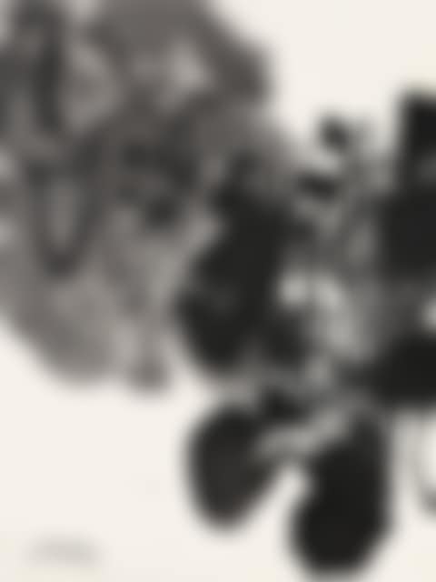 COMPOSITION (preview)