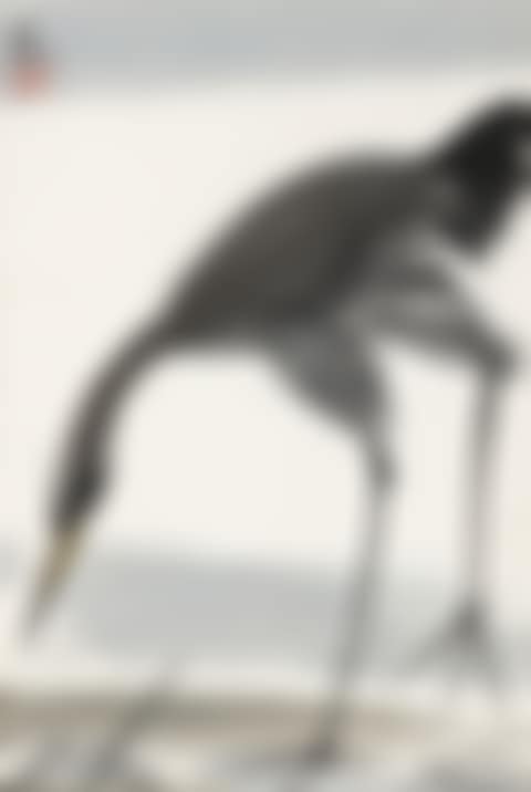 EGRET (preview)