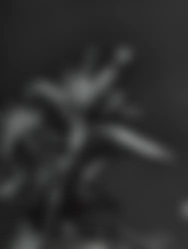Botanical study with praying mantis (preview)
