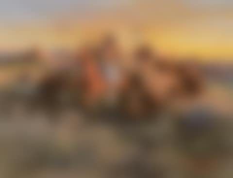 Buffalo Hunt (preview)
