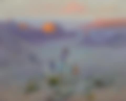 Desert Riders (preview)