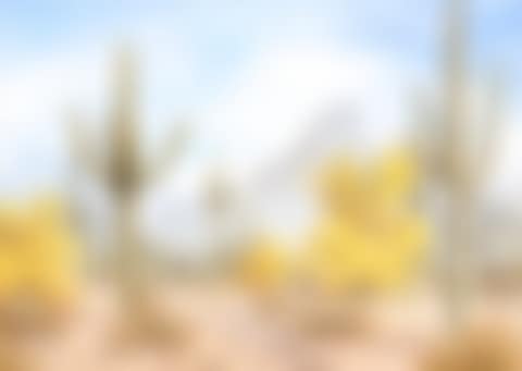 Saguaro Country (preview)