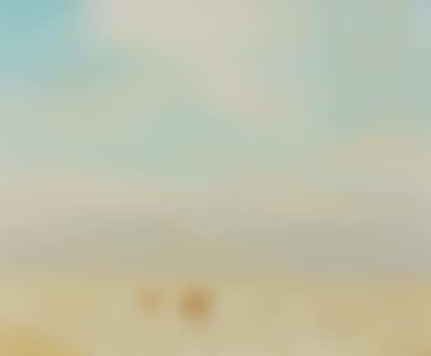 Arizona Desert (preview)