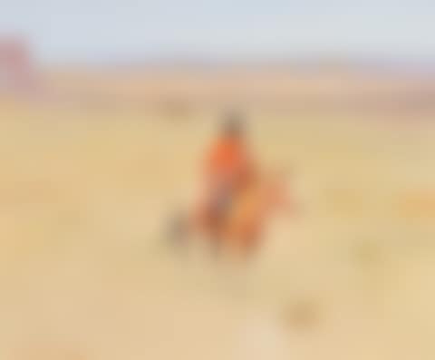 Desert Denizens (preview)