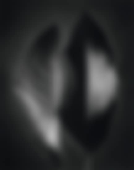 Two leaves (preview)