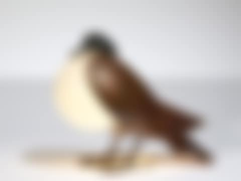 Lampe de table « Pigeon » (preview)