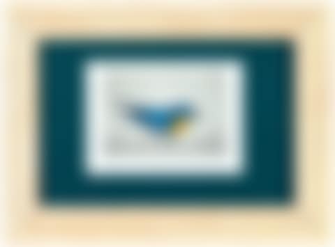 Oiseau à la perle (preview)