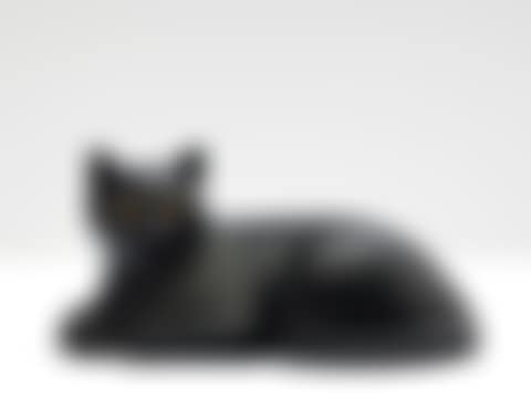 Le chat (preview)