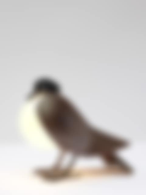 Lampe de table "Pigeon" (preview)
