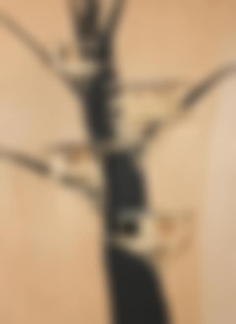 Tree hut plan, Group 5 (preview)