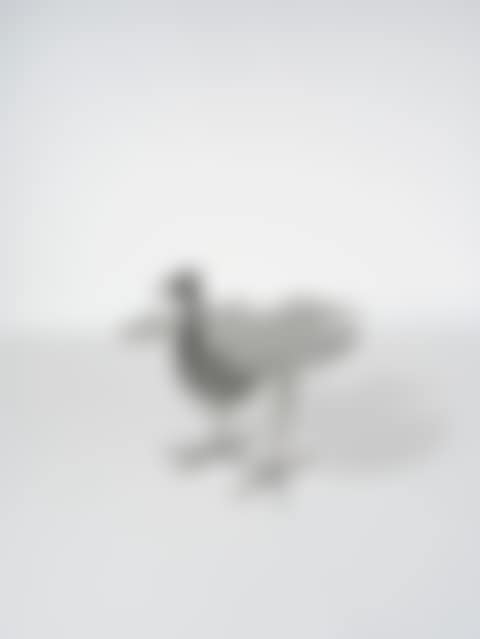 Table Oiseau d"argent (preview)
