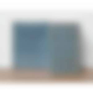 Catalogue Raisonné (preview)