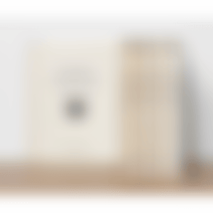 Catalogue Raisonné (preview)