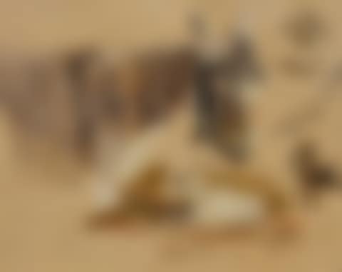 Study of donkey and goats. (preview)