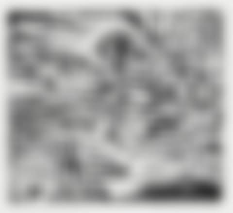 “Mahana Atua” from the portfolio “Paul Gauguin 10 Træsnit” (Paul Gauguin 10 Woodcuts (preview)