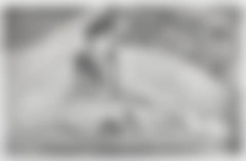 “La Femme aux Figues” (preview)