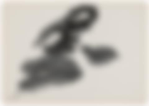Shoku (To belong to, to pay attention to) (preview)