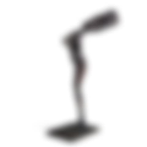 Woman with Upthrust Arm (preview)