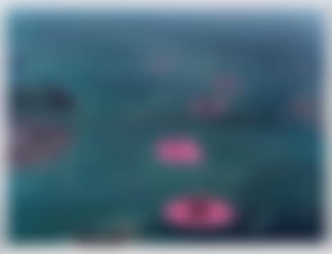 Surrounded Islands, Biscayne Bay, Greater Miami, Florida, 1980-83 (preview)