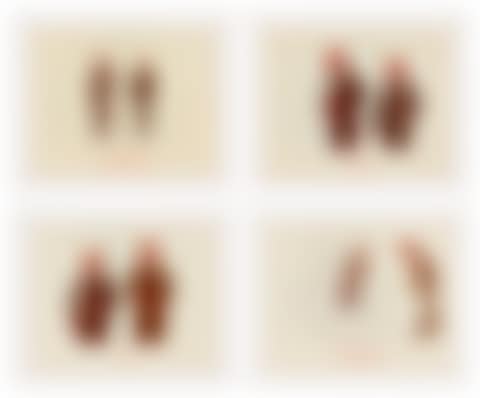 The Red Sculpture Album (preview)