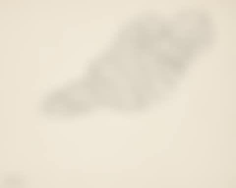 Coquillage (Etude pour Nature morte au magnolia); Coquillage (Etude pour Nature morte au magnolia ) (preview)