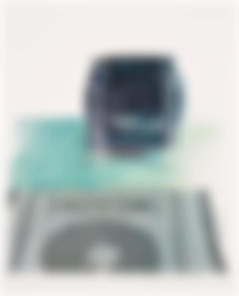 Corbusier Chair and Rug (B. 23) (preview)