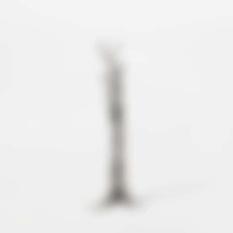 Pequi Tree (preview)