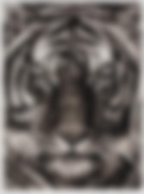 Study of Last Tiger (preview)