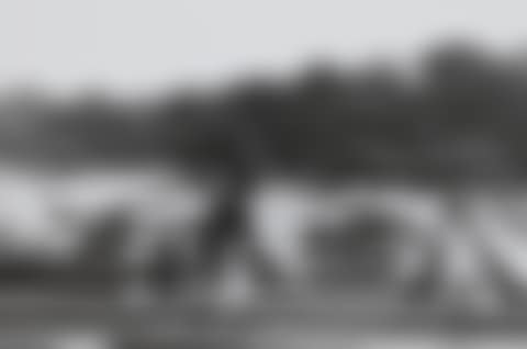 Belle Isle, Detroit (preview)