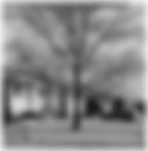 Colorado Springs, Colorado (preview)