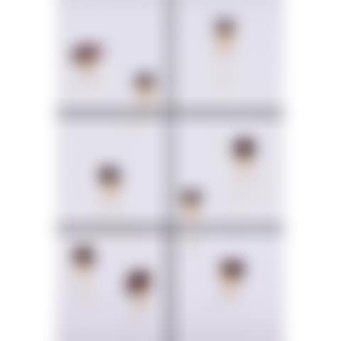 Tiles+ Dried Flowers (preview)
