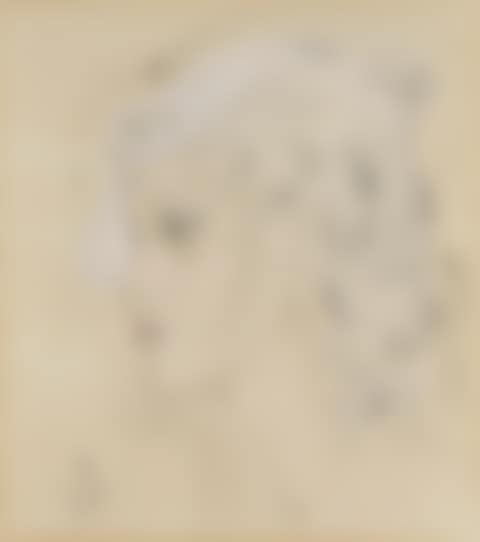 Buste de femme au chapeau blanc (preview)