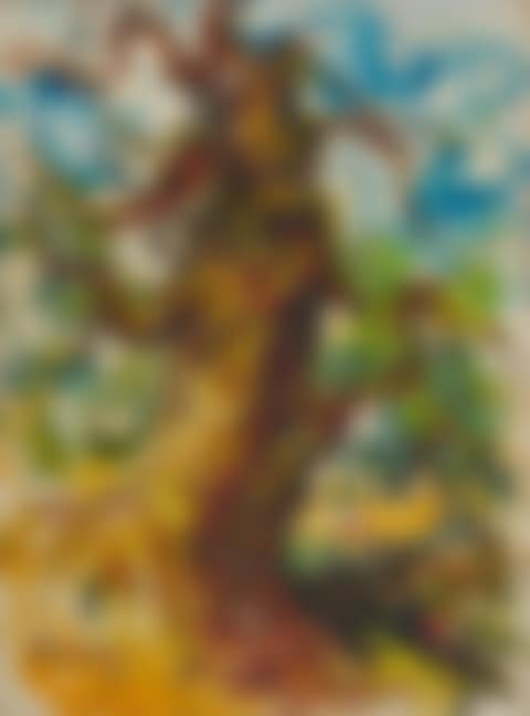 Big Tree (preview)