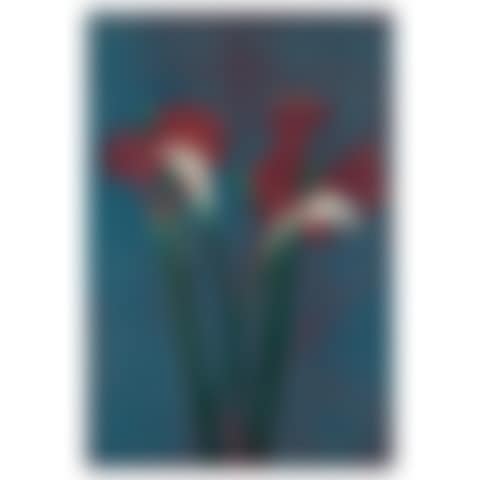 Amaryllis/Calla I (preview)