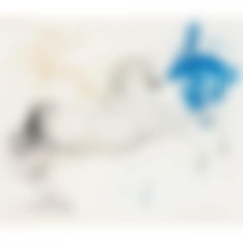 PEGASUS (preview)