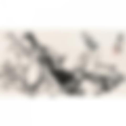 GOOSE (preview)