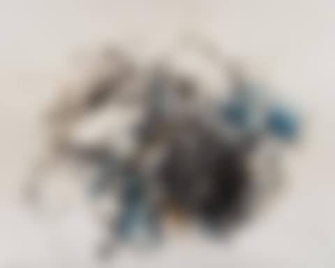 Large Space of Shoots #1 (preview)