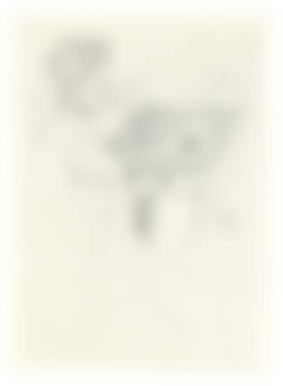 Looking into the Hand Mirror (preview)