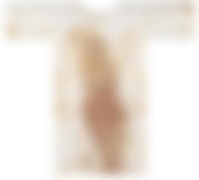 Painting shirt (preview)