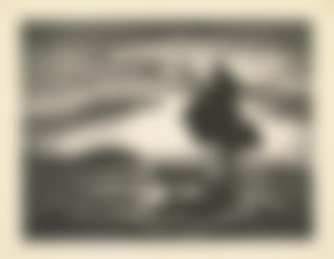 Sunset (preview)