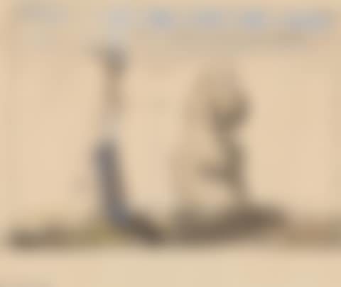 Figure composition (preview)